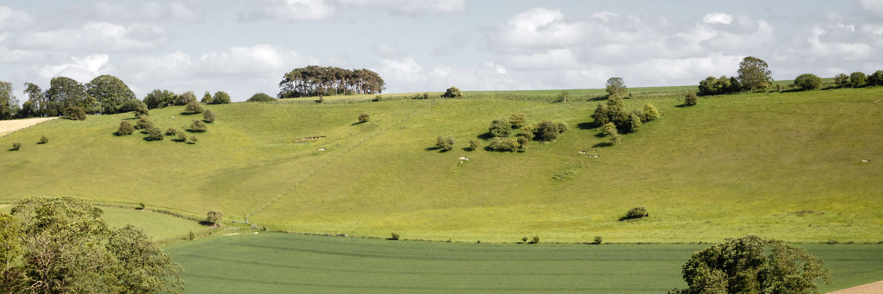 Kingsclere, Hampshire